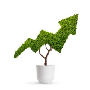 Growing economy