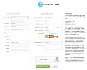 IntelliPay Online Payment Page