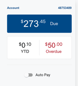 Autopay on option - IntelliPay customer portal