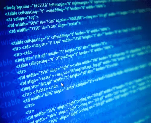 Monitor screen with IntelliPay computer code displayed. IntelliPay integrated with existing government systems simplifying payments.