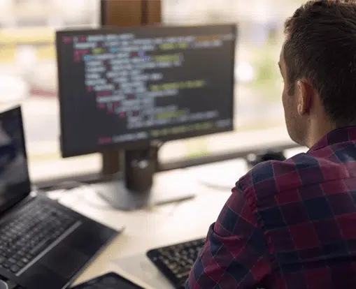 Government payments-developer working on payment processing suite code