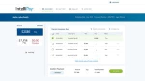 IntelliPay's customer payment portal screen