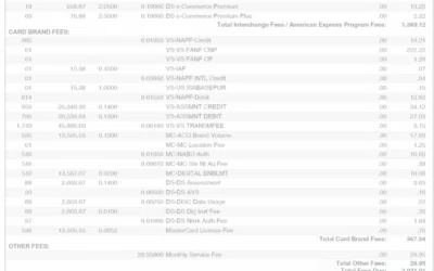 The Anatomy of a Merchant Statement: Beyond Total Due