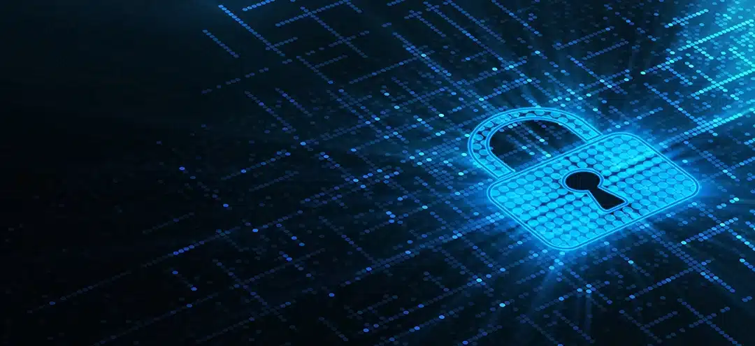 Cyber Security and Online Bill Payments Protecting Yourself from Theft and Fraud