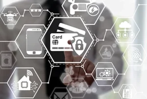 Whitelabel payment solutions for community banks intellipay intellipay White-label payment platform connecting community banks to credit card, mobile, and digital payment channels